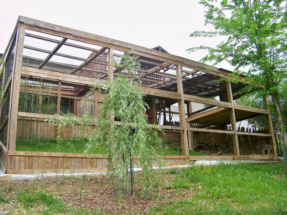 Private Pet Friendly Home Near Exotic Deer Farm Close To Pigeon Forge, Gatlinburg Tn Sevierville Eksteriør billede