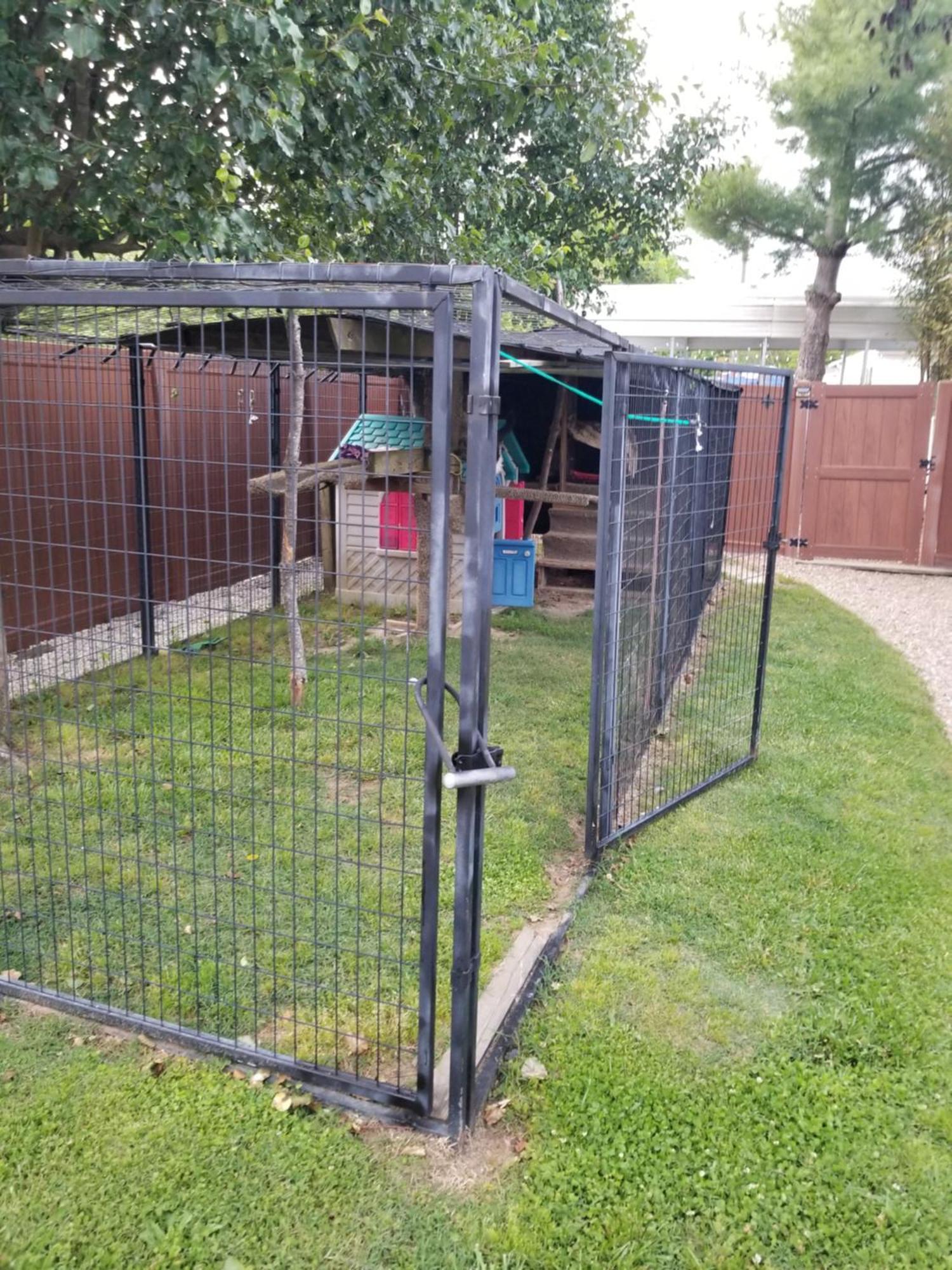 Private Pet Friendly Home Near Exotic Deer Farm Close To Pigeon Forge, Gatlinburg Tn Sevierville Eksteriør billede