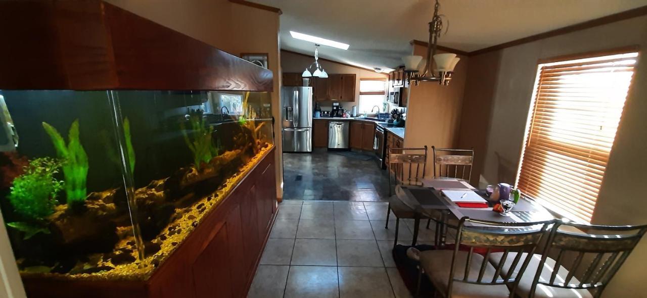Private Pet Friendly Home Near Exotic Deer Farm Close To Pigeon Forge, Gatlinburg Tn Sevierville Eksteriør billede